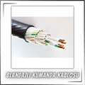 Kumanda Kablosu (Blandajlı)