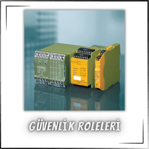 Güvenlik Roleleri