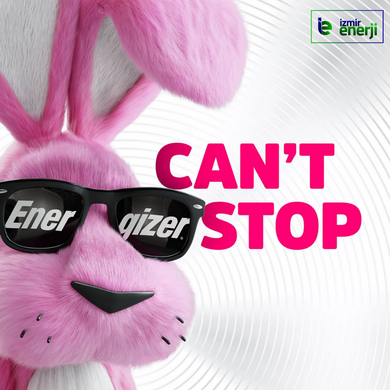 Alkalıne Max AA Pil 2'li