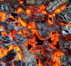 DW-HD-603-M12-200 3mm M12 PNP, Normalde açık (NO) Silikon, 2 m, 3 telli 230℃ Endüktif Sensör